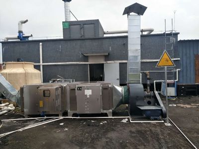 中科新藍(lán) 東莞地區(qū)安全可靠的廢氣處理與垃圾站除臭環(huán)保設(shè)備安裝專(zhuān)家