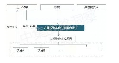 PE與上市公司合作發(fā)起設(shè)立產(chǎn)業(yè)并購基金的模式解析——以基礎(chǔ)軟件服務(wù)行業(yè)為例